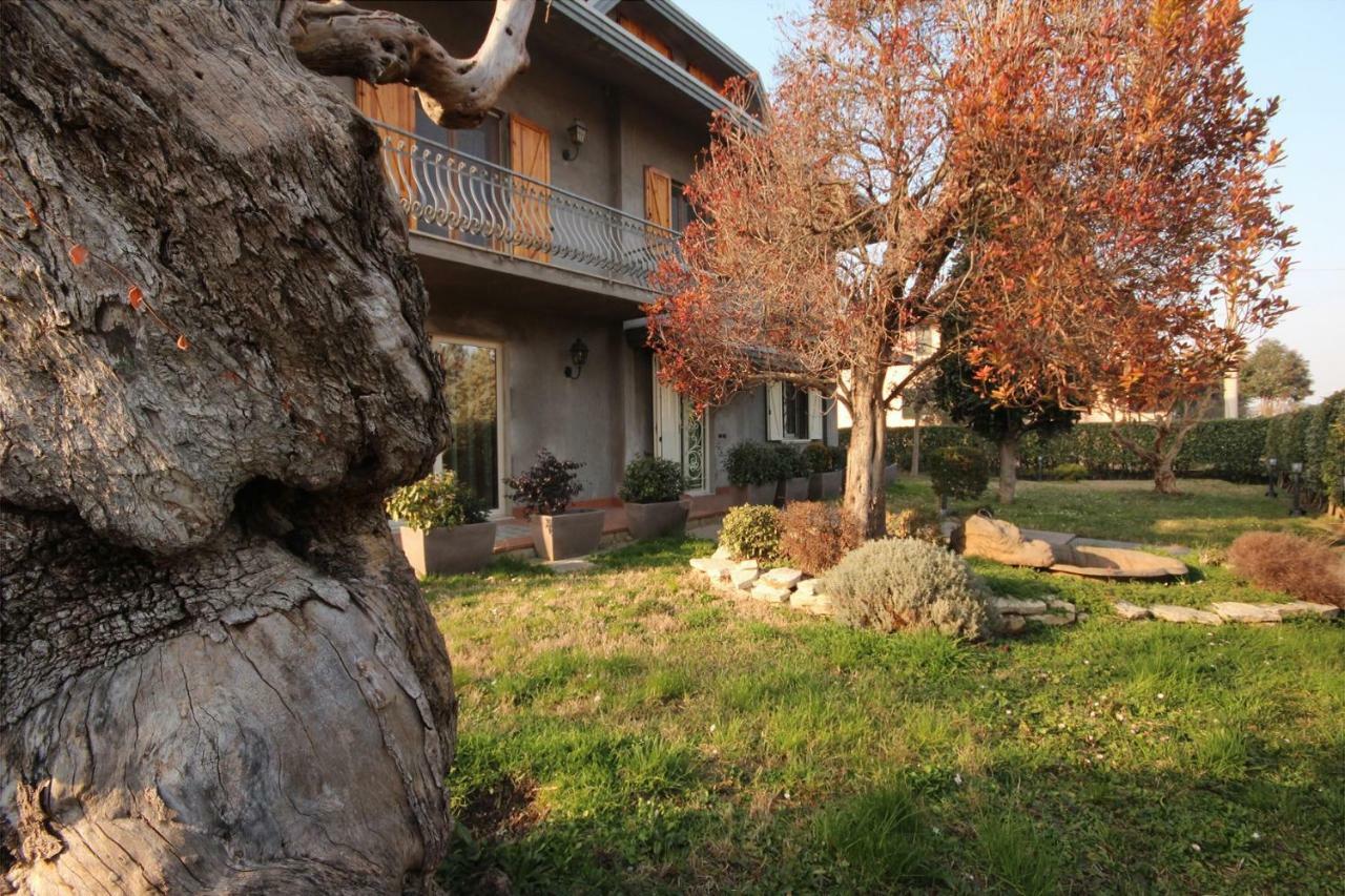 Magnolia Hotel Savignano sul Rubicone Exterior foto